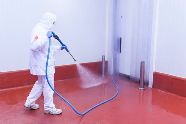Best Pool Deck Cleaning  in Westfield Center, OH